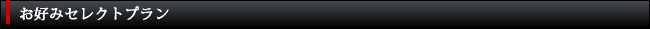 お好みセレクトプラン