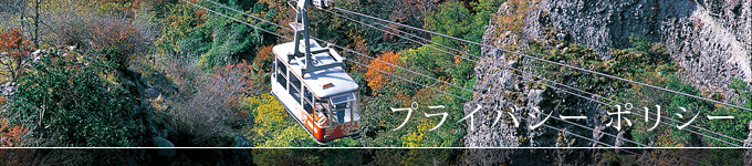 プライバシーポリシー