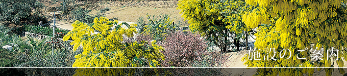 ホテル施設の紹介